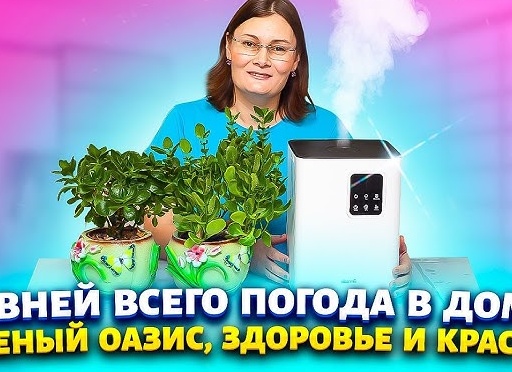 Главней всего – здоровье в доме, или почему европейцы выбирают мебель из дерева?